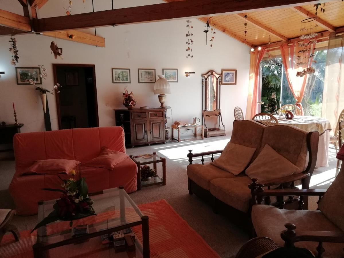 Casa Da Boavista Villa Santa Maria da Feira Eksteriør billede