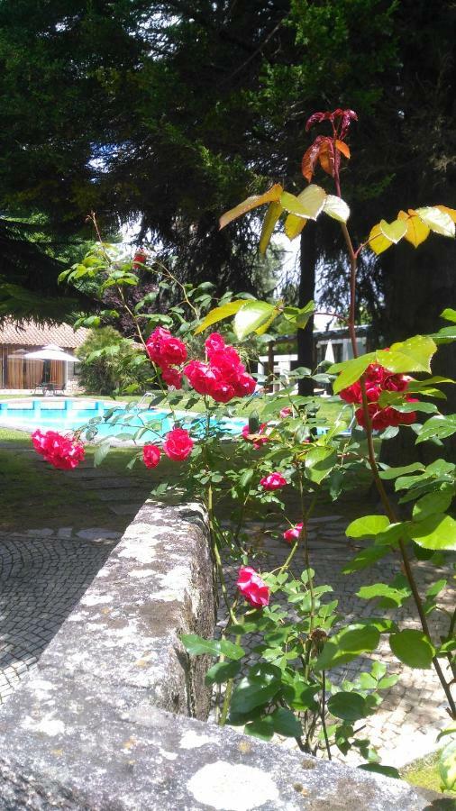 Casa Da Boavista Villa Santa Maria da Feira Eksteriør billede